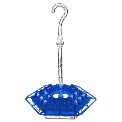 Hummingbird Feeder Hangend Buiten Perch
