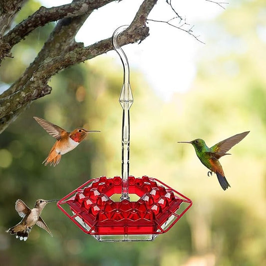 Hummingbird Feeder Hangend Buiten Perch