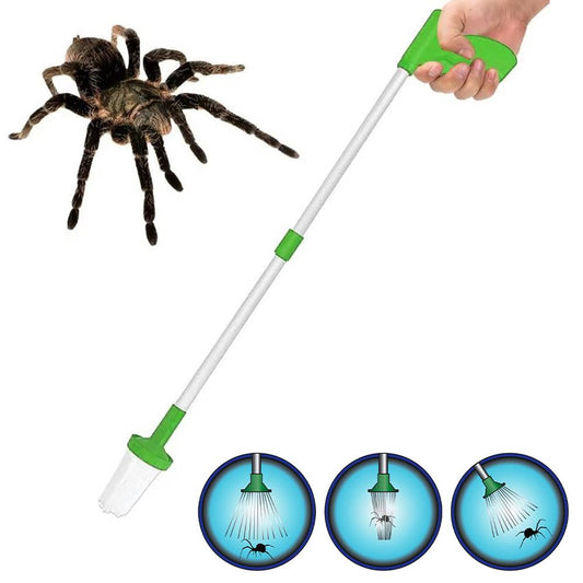 Insectenvanger
