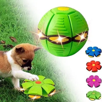 Interactief Honden Speelgoed Rubber Vliegende Schijf Bal