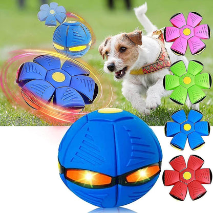 Interactief Honden Speelgoed Rubber Vliegende Schijf Bal