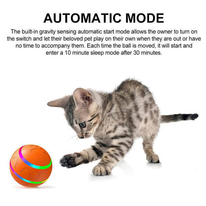Interactief Hondenbal Speelgoed Dierenspeelgoed Bal