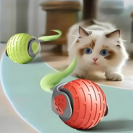 Katten Speelgoed Bewegend Interactief Speelgoed