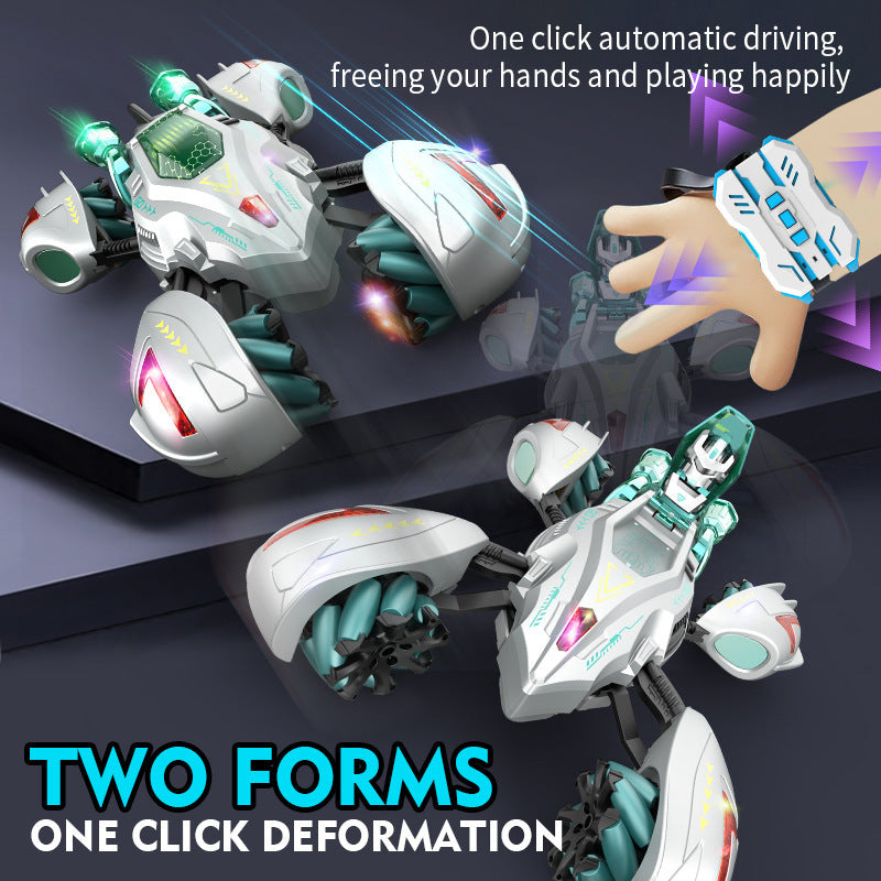 Afstandsbediening Stuntauto 360 Rotatie Drift 4WD Kinderen