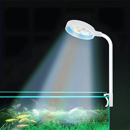 LED Verlichting Vissentank