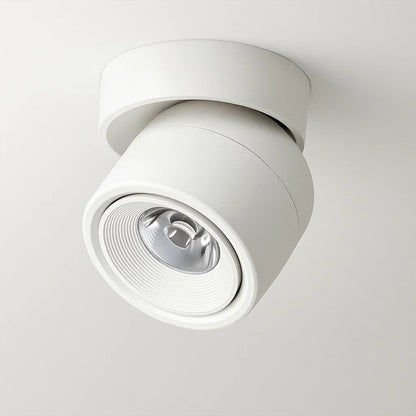 LED Verstelbare Plafondlamp Aluminium Flush Mount