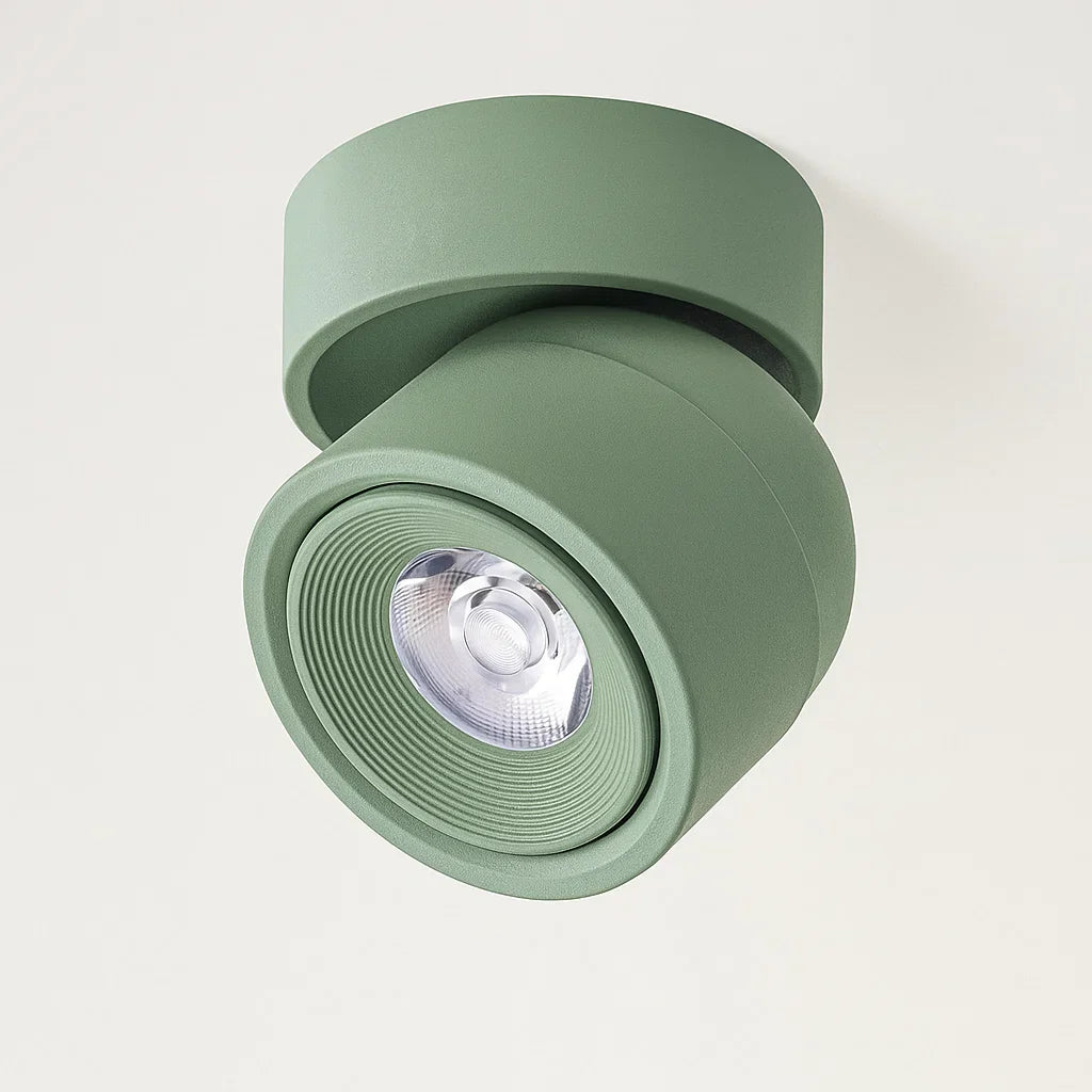 LED Verstelbare Plafondlamp Aluminium Flush Mount