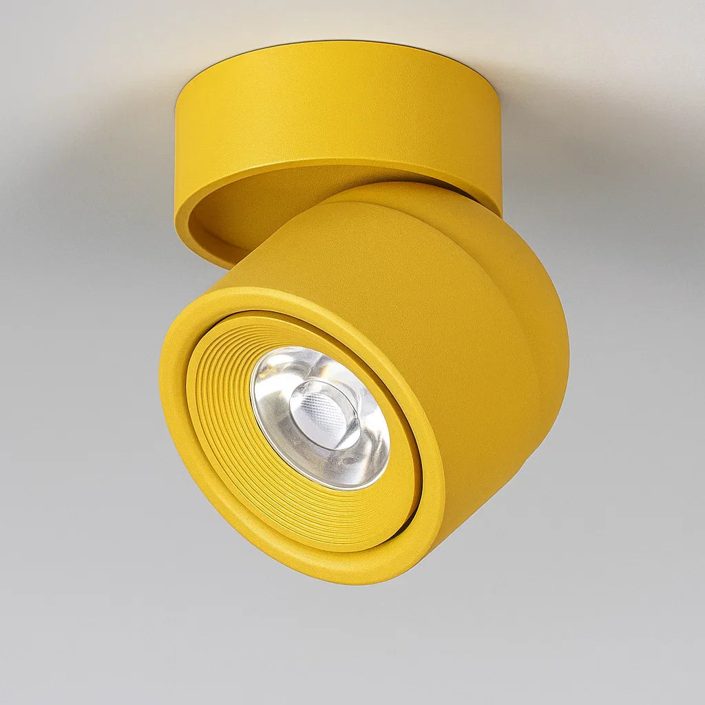 LED Verstelbare Plafondlamp Aluminium Flush Mount