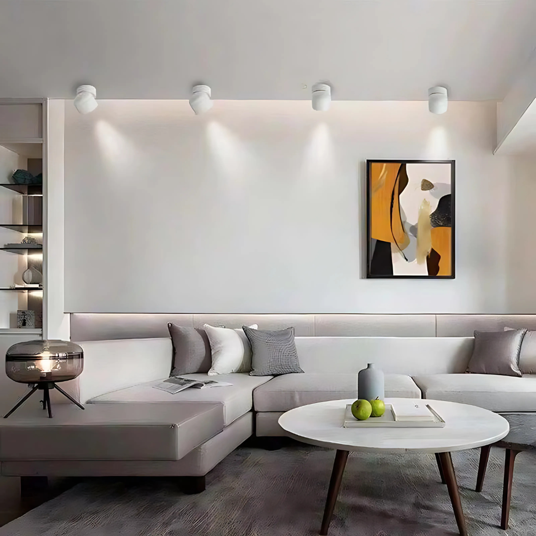 LED Verstelbare Plafondlamp Aluminium Flush Mount