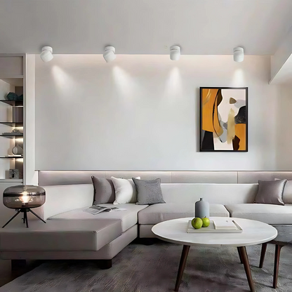 LED Verstelbare Plafondlamp Aluminium Flush Mount