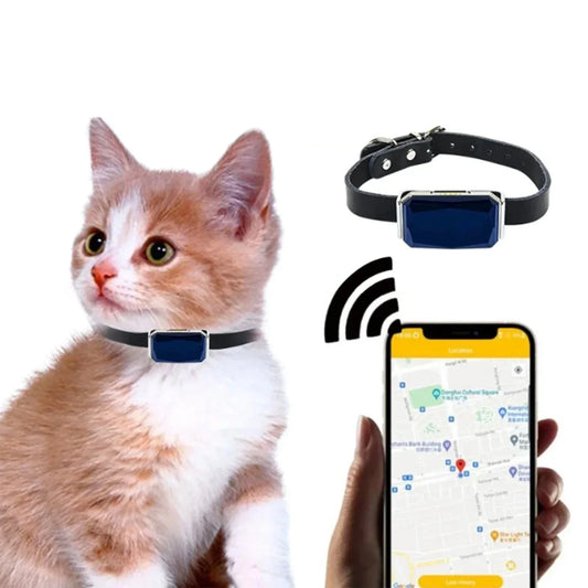 Mini GPS Tracker Kat Hond