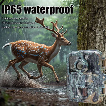 Mini Trailcamera 16MP Nachtzicht PIR Bewegingsdetectie