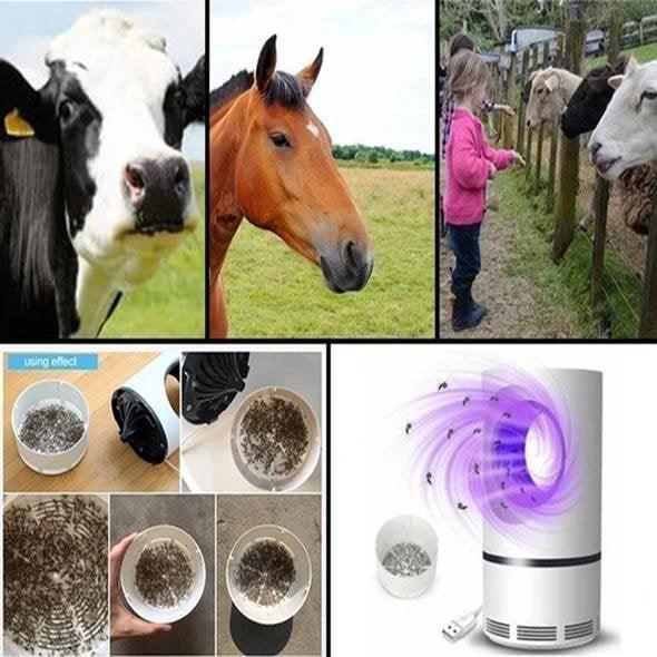 Muggen en vliegenval elektrisch