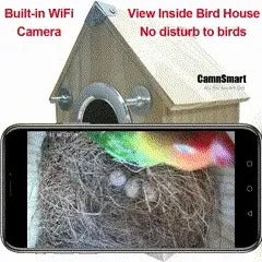 Nestcamera Vogelvoederhuis met Camera