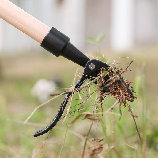 Onkruidsteekgereedschap Tuin Gereedschap