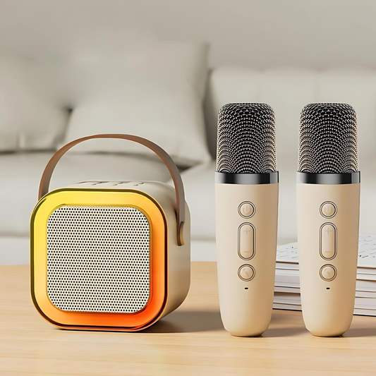 Karaoke Systeem met Draadloze Microfoons