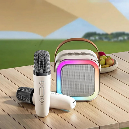 Karaoke Systeem met Draadloze Microfoons