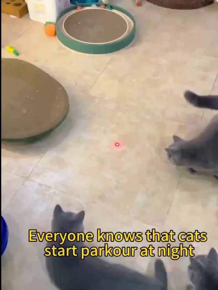 Oplaadbaar Kattenlaser Speelgoed Interactief Huisdier Teaser