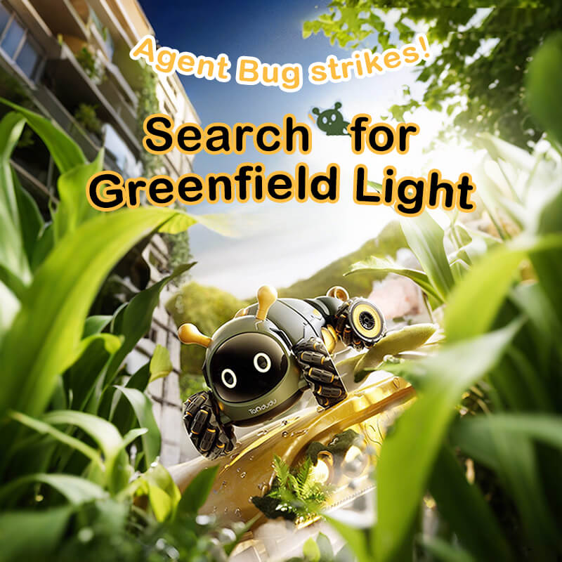 RC Stunt Auto 4WD 360 Rotatie Afstandsbediening met Muziek en Lichten