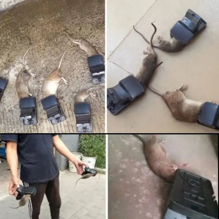 Rattenval Hooggevoelig Klemval