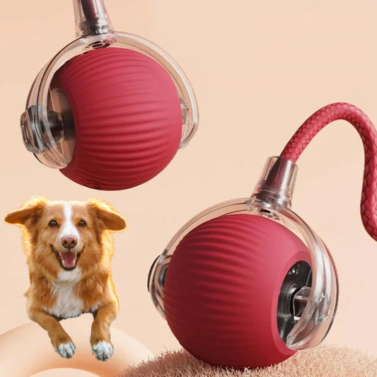 Rolbal met Staart voor Honden