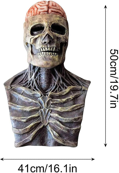 Schedelmasker Hersen Halloween Kostuum