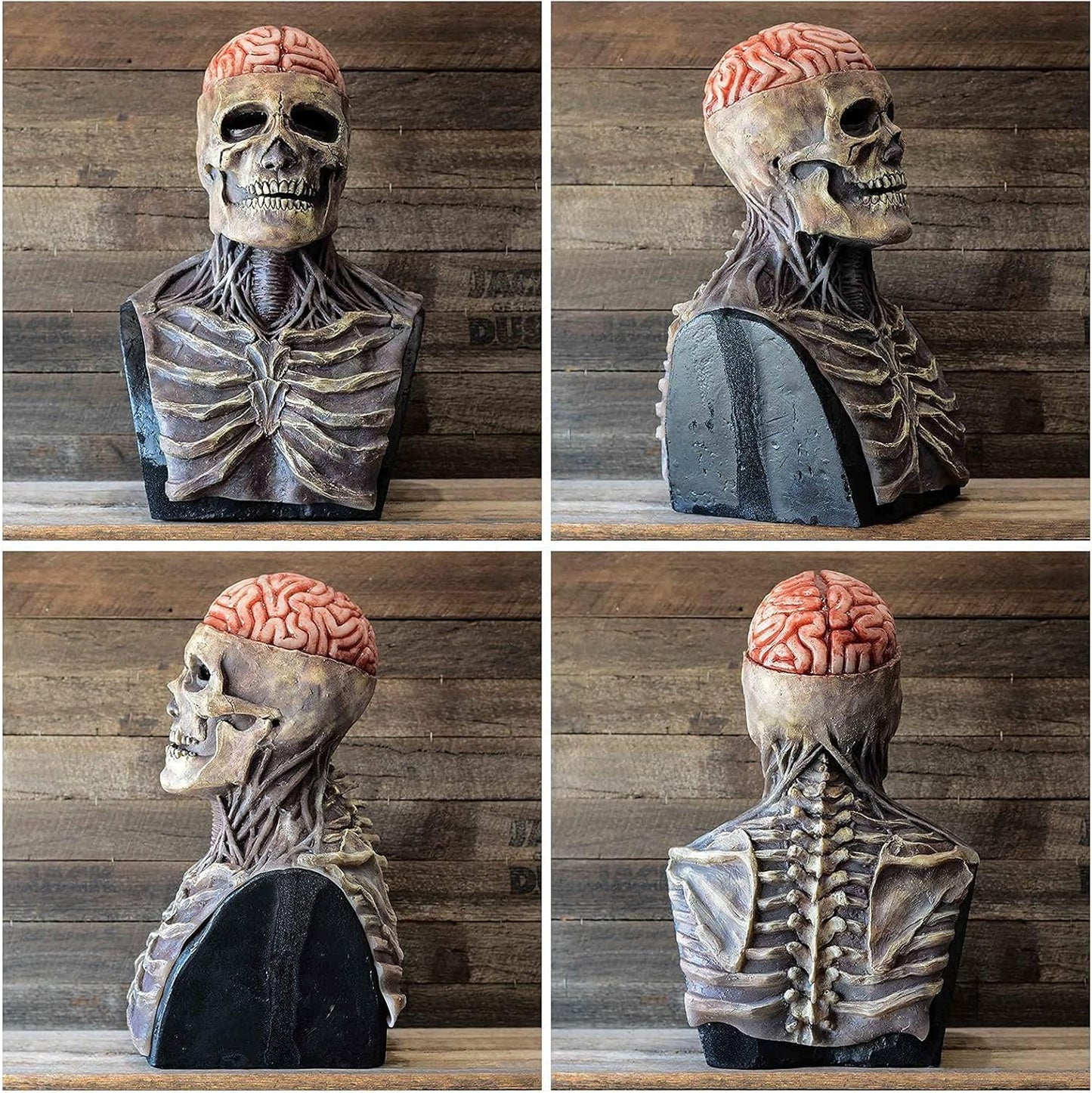 Schedelmasker Hersen Halloween Kostuum