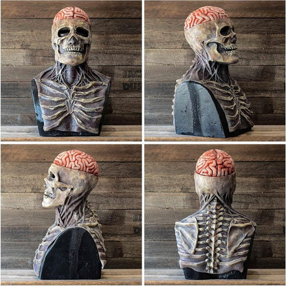 Schedelmasker Hersen Halloween Kostuum
