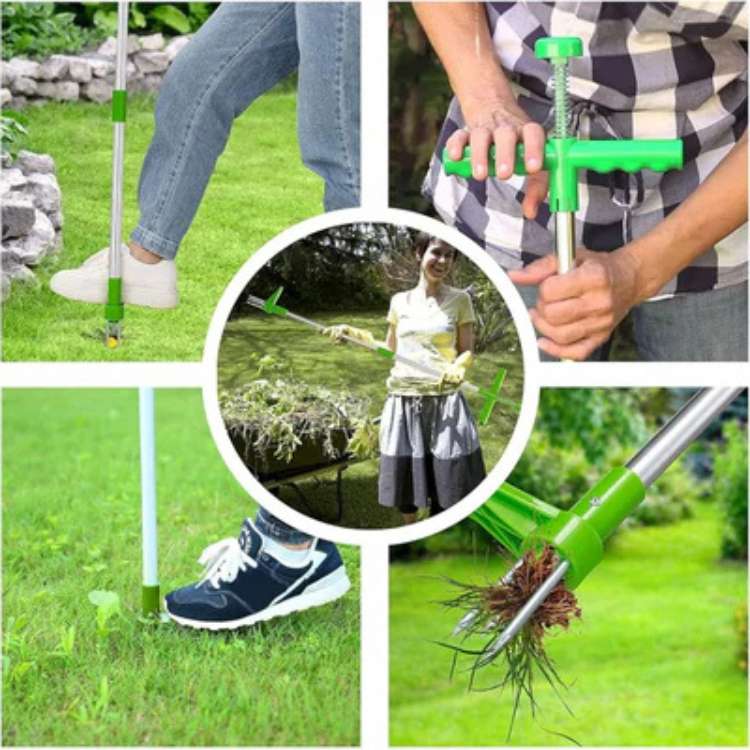 Tuinkruidentrekker Handgereedschap Tuinaccessoire