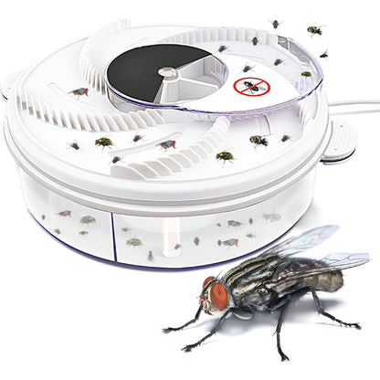 Vliegenval Effectief 2-in-1 Insectenval Vliegenvanger