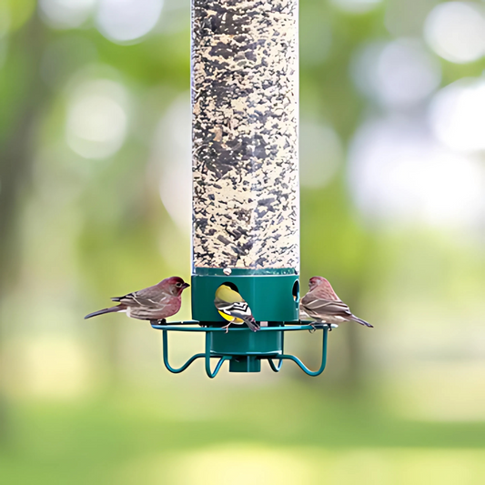 Vogelfeeder Eekhoornbestendig Hangvoeder Buiten