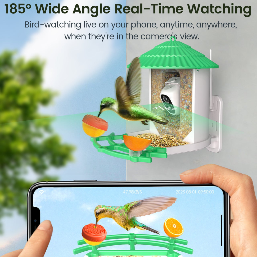 Vogelfeeder met Camera en Zonne-energie
