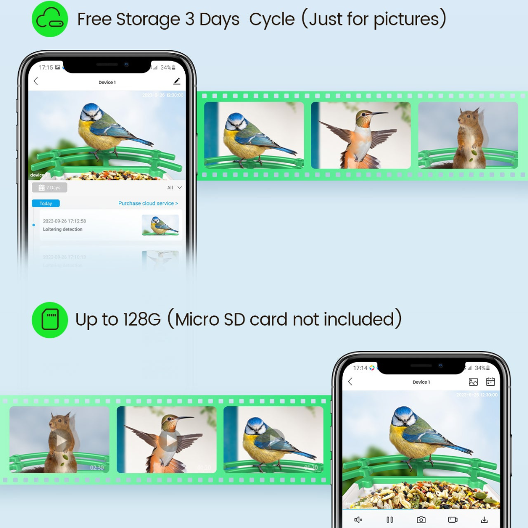 Vogelfeeder met Camera en Zonne-energie