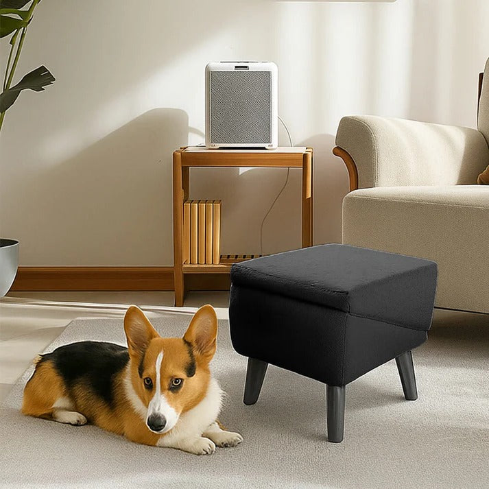 Hunderampe, Tritthocker, wandelbares 2-in-1-Möbelstück