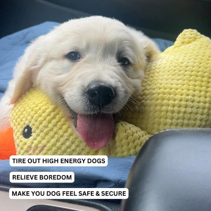 Eend Speelgoed voor Honden