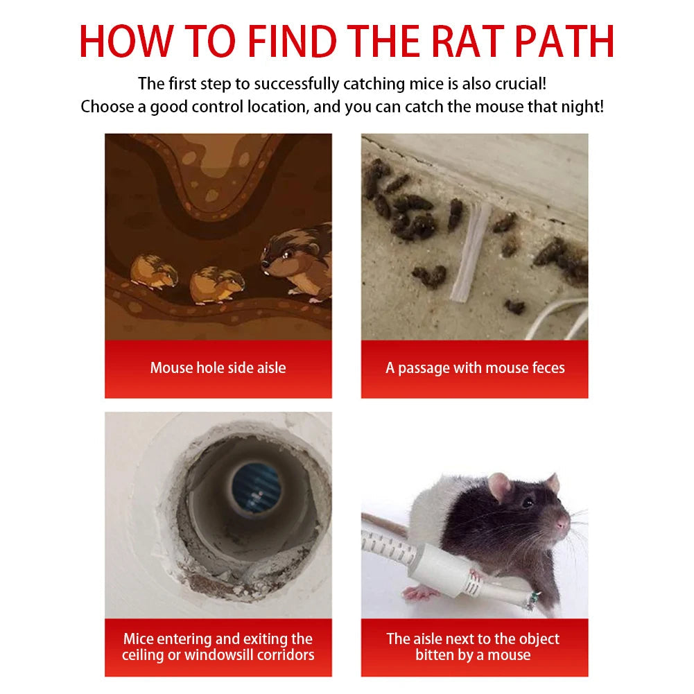 Wiederverwendbare Mausefalle mit Schiebetür