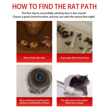 Wiederverwendbare Mausefalle mit Schiebetür