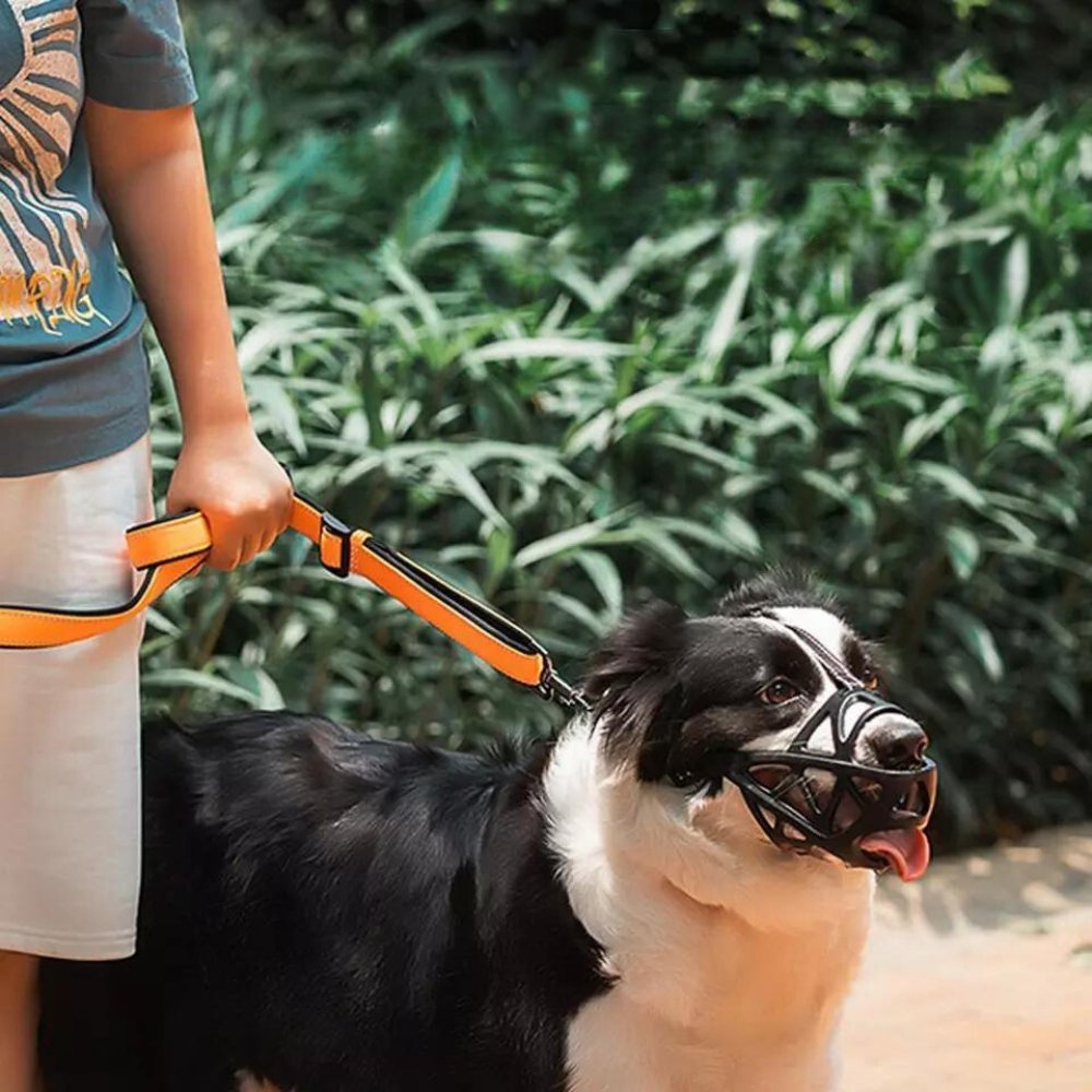 Hondentuig Veiligheidsapparaat voor Honden