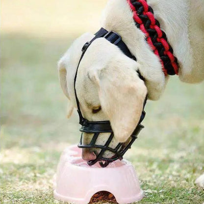 Hondentuig SecureFit